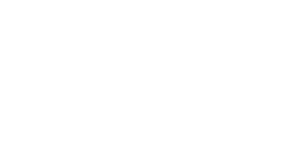 Fonality Logo